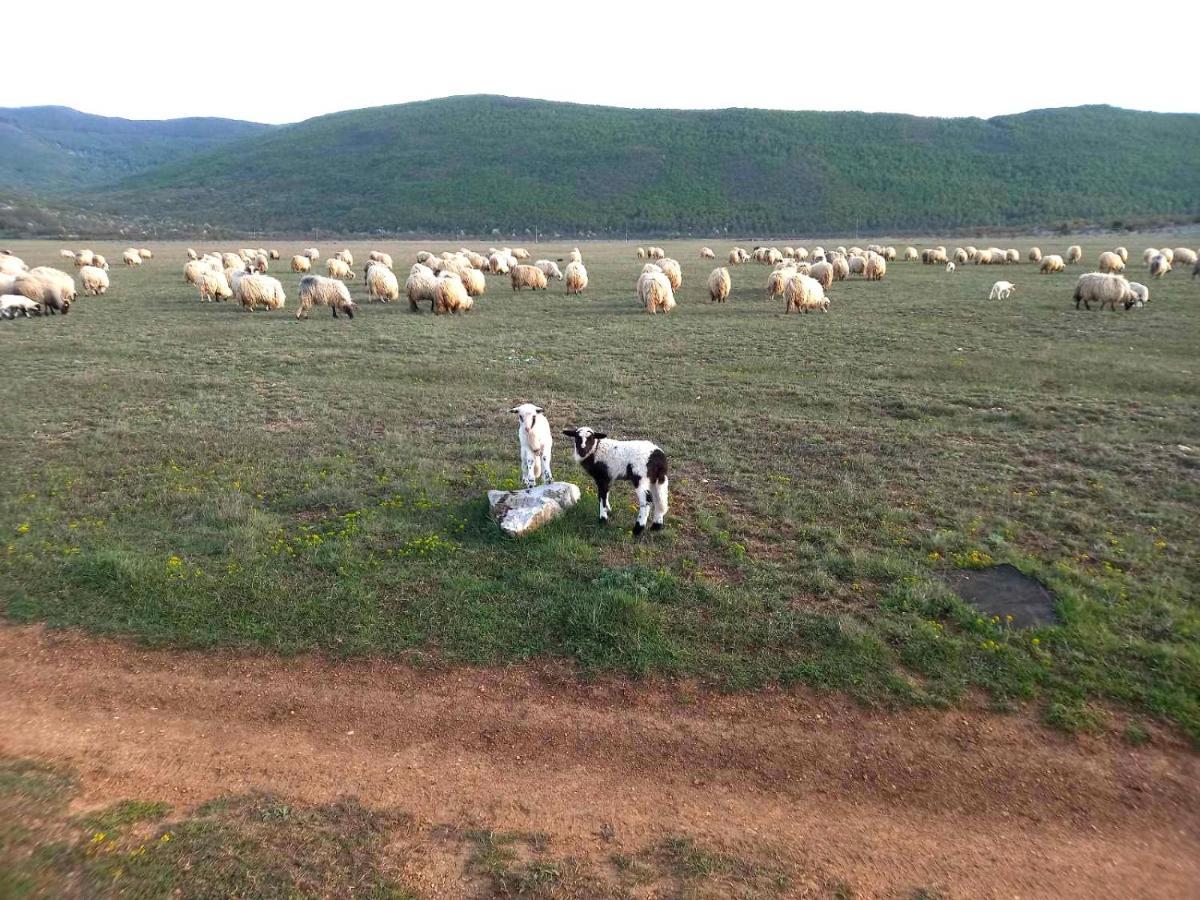 Farma & Apartmani II Opg Sasa Delic Grabusic المظهر الخارجي الصورة