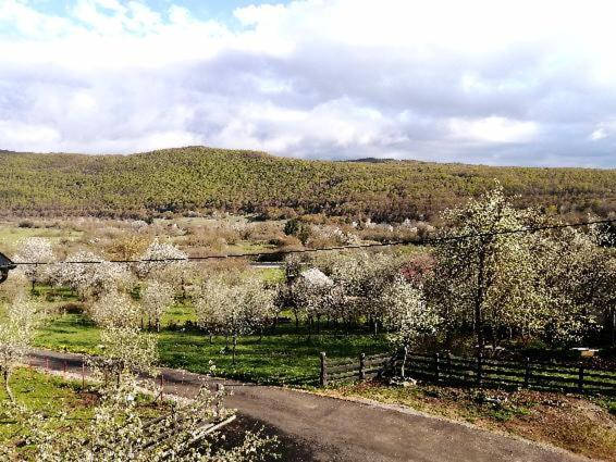 Farma & Apartmani II Opg Sasa Delic Grabusic المظهر الخارجي الصورة