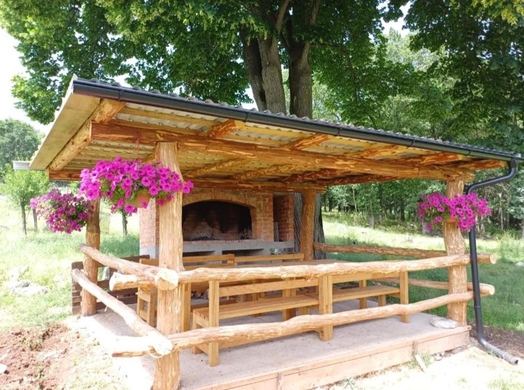 Farma & Apartmani II Opg Sasa Delic Grabusic المظهر الخارجي الصورة